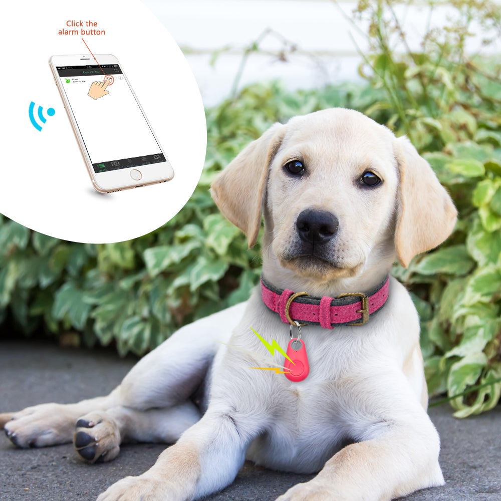 DRULINE Haustier GPS Tracker für Hund & Katze Peilsender mit ultimativer Reichweite